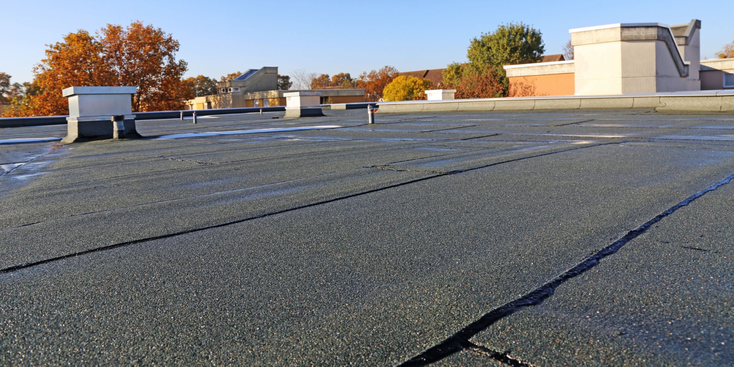 bitumen dak vervangen