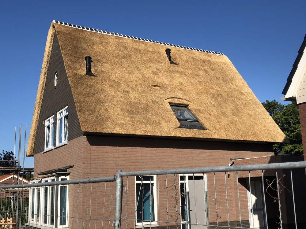 nieuw rieten dak