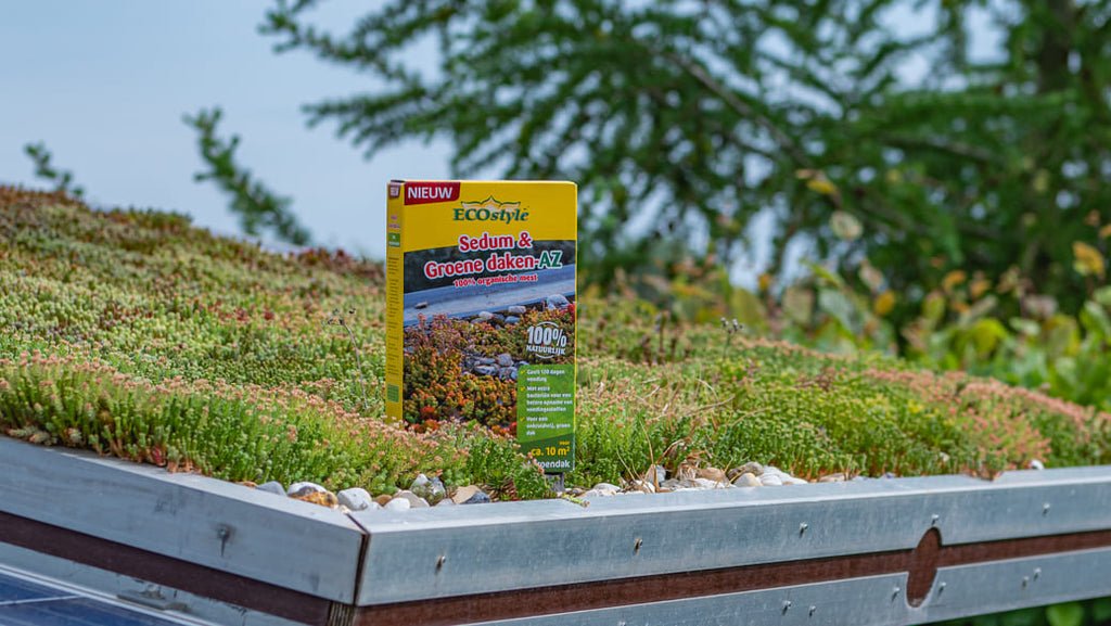 dakbedekking sedum
