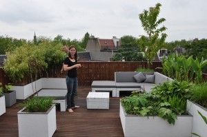 daktuin maken