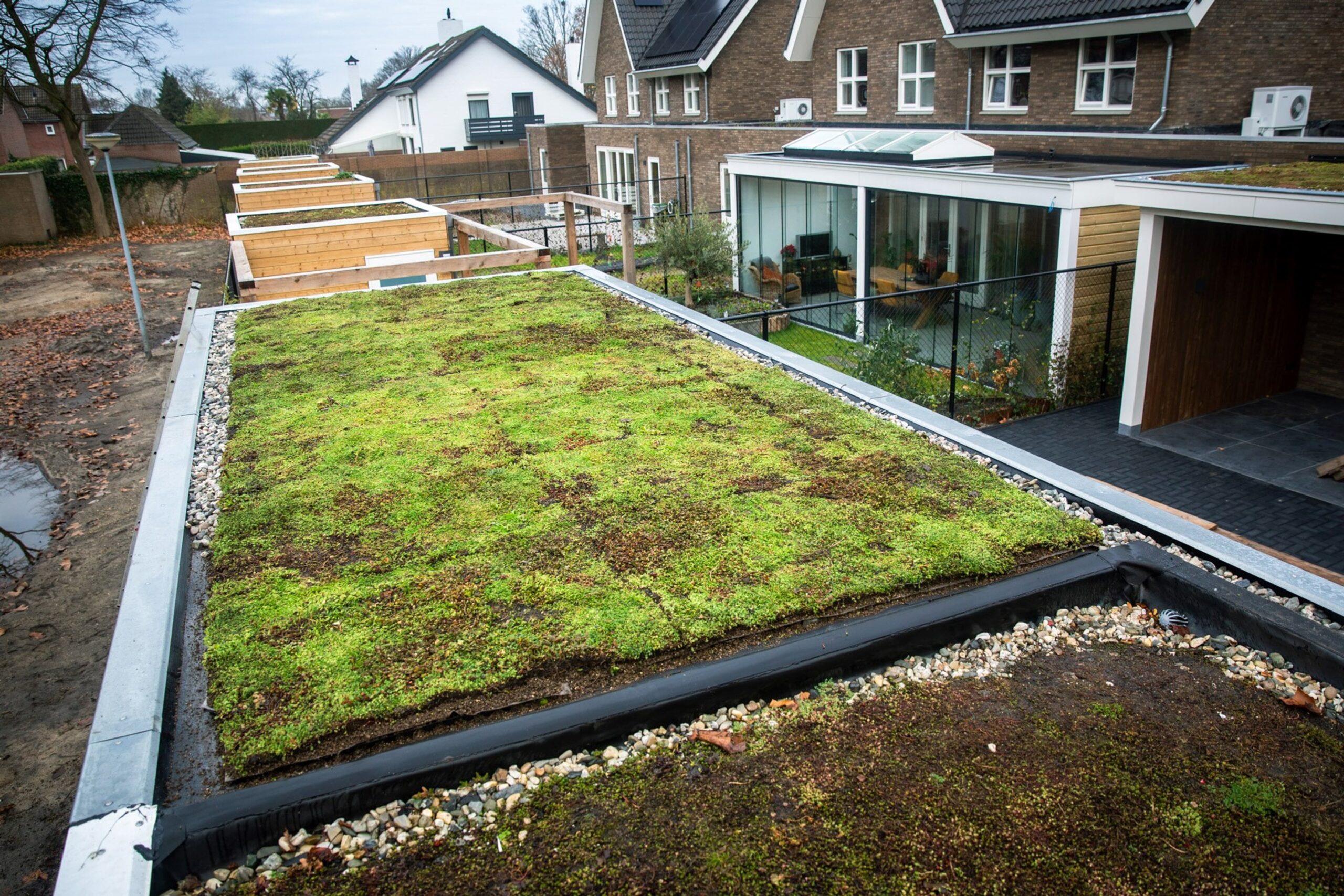 groen daken