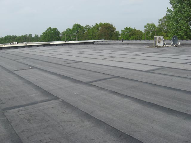 nieuw bitumen dak kosten